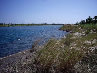 琵琶湖、活水湖-活水湖