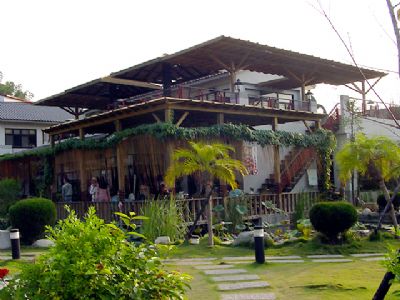 紙箱王創意園區-大坑天染外觀的茂密綠林