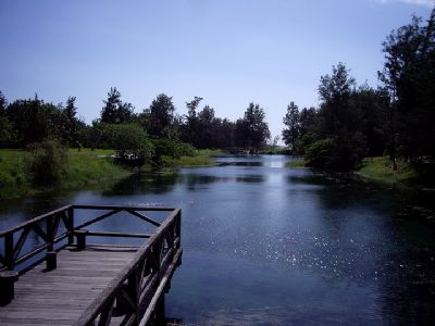 台東森林公園(黑森林)-琵琶湖