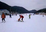 【冰火之恋】维景温泉、瑞翔滑雪、真人CS二日游