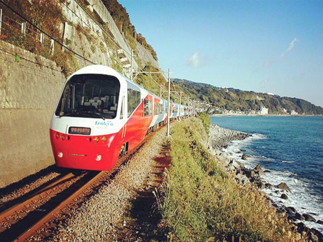 海岸线号(TranzCoastal)-豪华列车旅游