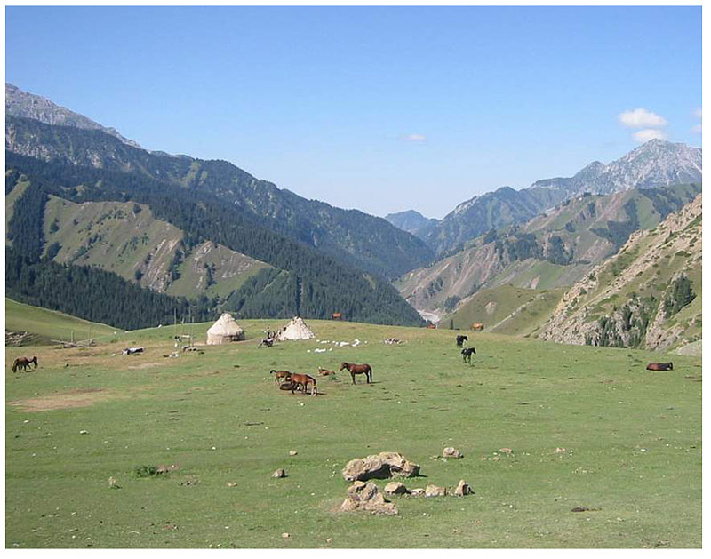 南山牧场（湖南南山国家公园自然保护地）