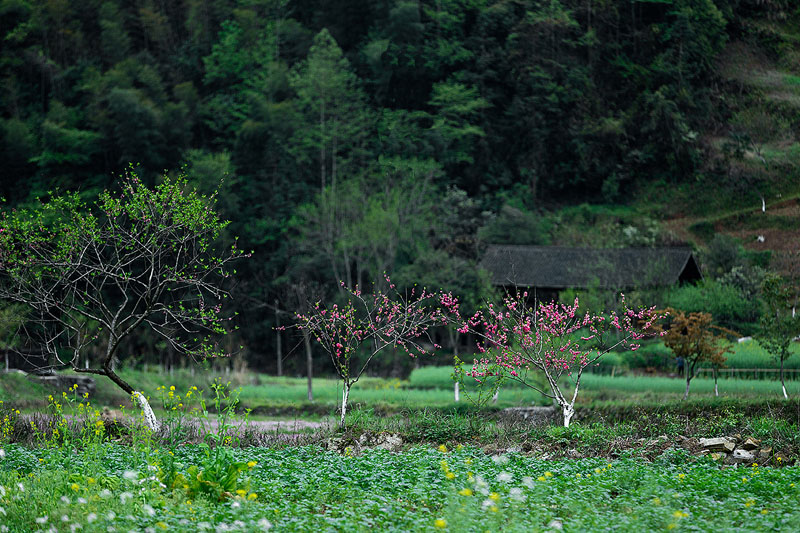 常德桃花源风景区