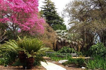 洛杉矶景点：洛杉矶县立植物园