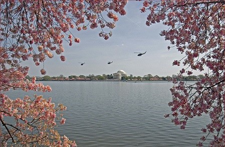 华盛顿景点：潮汐湖