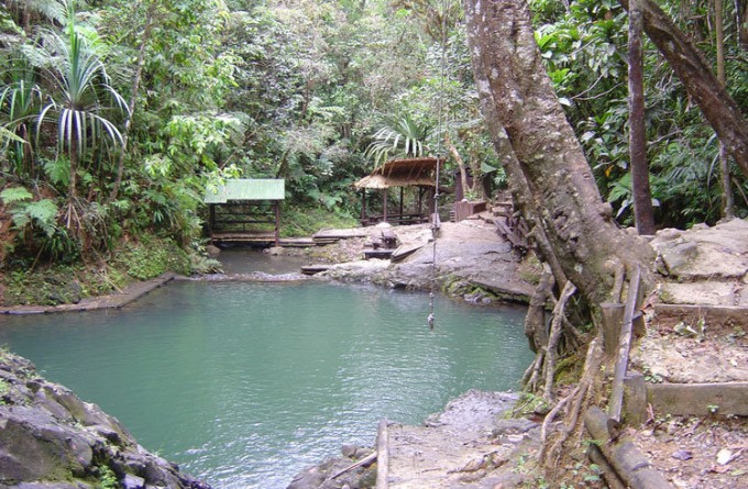 Colo-i-Suva Forest Park _苏瓦_斐济