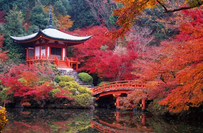 醍醐寺_京都_日本