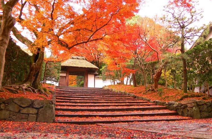 神护寺_京都_日本