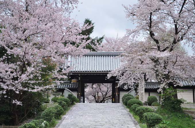 山科本愿寺_京都_日本