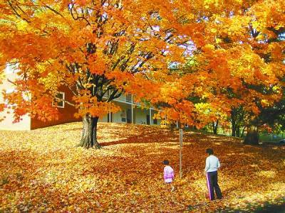 春节旅游贴士 美国各地赏红叶全攻略图片