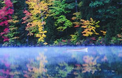 春节旅游贴士 美国各地赏红叶全攻略图片