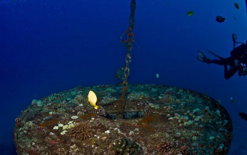 潜入夏威夷海底的沉船世界图片