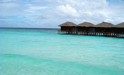 马尔代夫Filitheyo岛:浮潜戏鱼 人间天堂图片