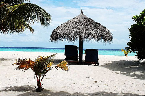 马尔代夫Filitheyo岛:浮潜戏鱼 人间天堂图片