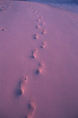 销魂的马尔代夫旅游风景图片图片