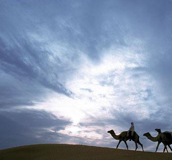 迪拜:奢华沙漠 唯美国度图片