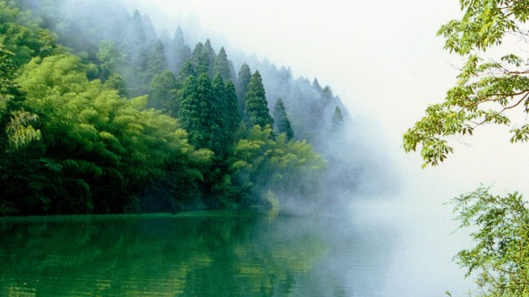 十一游庐山 品茗赏景久久回味