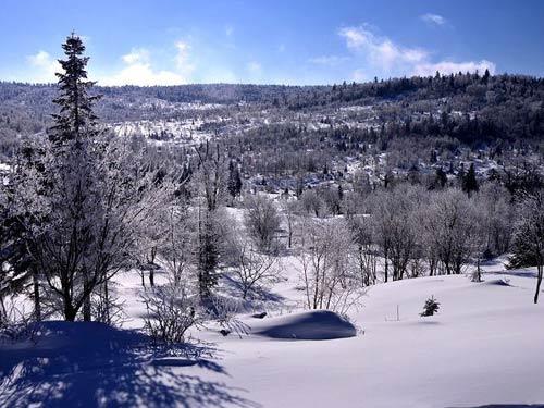 品位长白山林海雪原