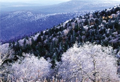 森工总局凤凰山旅游区