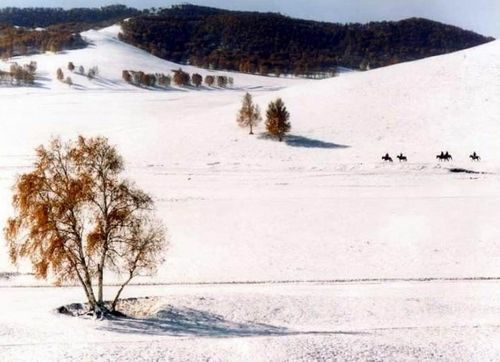 冬季旅游好去处 盘点国内十大最范儿滑雪场图片