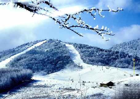 神农架滑雪场