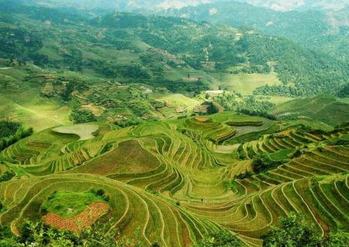 寻找最后的宁谧风景 中国最美六大古镇古村(图)图片