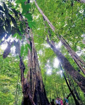 西双版纳：美丽地域上的独特民族