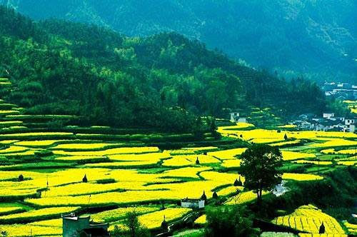 3月旅游好去处推荐 3月最佳旅游地推荐图片