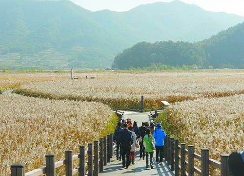 韩国南海岸：感受最淳朴韩式风情