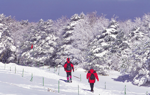 秋冬季韩国登山好去处