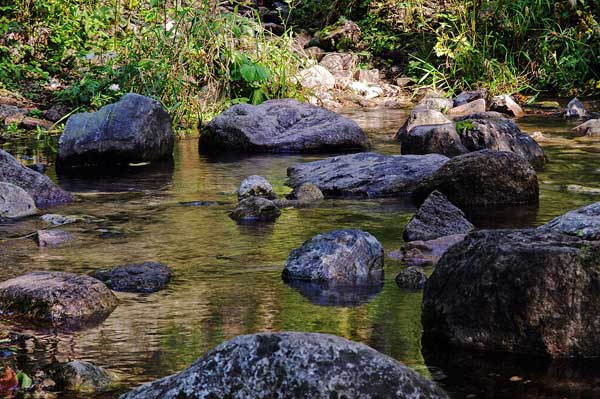 延庆松山休闲游 寻美景野趣(图)