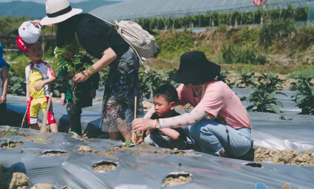 浏阳南边生态农场